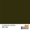 194783 1 ak interactive general series command green