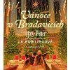 195950 harry potter vanoce v bradavicich