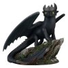 Dragons Master Craft Stojaci bezzubý 31 cm