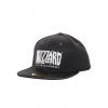Overwatch snapback Blizzard Logo (2)