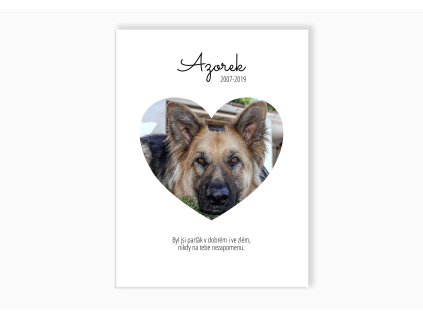 OBR platno srdce pes01