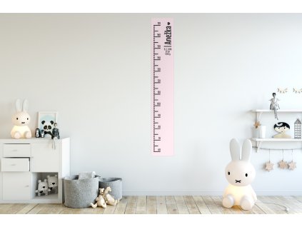 NALEP metr simple01