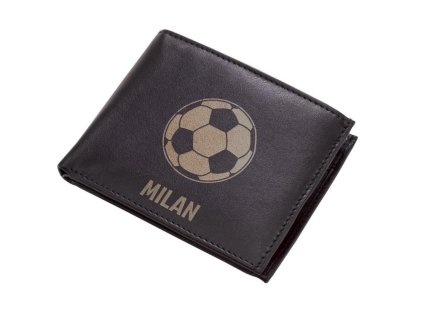 8031 penez fotbal mic kopie