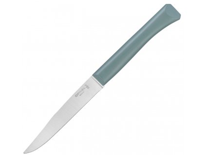 steakovy nuz opinel bon apetit s polymerovou rukojeti 11 cm sage salvejovy 002195