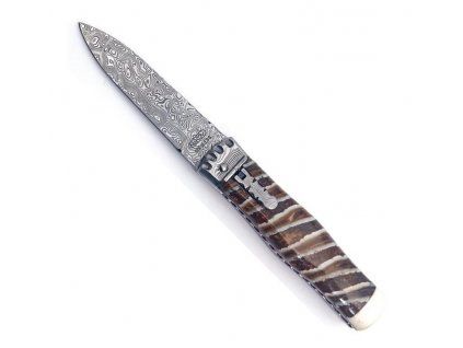 mikov predator mamut kvalitni noze 1