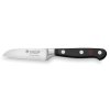 2 ks dily sada japonsky nuz santoku 17 cm nuz na zeleninu 8 cm wusthof solingen classic kvalitni noze 1120160201 2