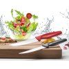 sada nozu na steak 10 cm 2 ks wusthof solingen cerna 15