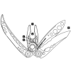 naradovy nuz leatherman freestyle 4