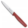 Nůž na zeleninu Victorinox Standard 10 cm, červený