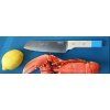 japonsky nuz santoku opinel pop 17 cm modry 1