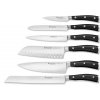 sada 6 ks dilu dily nozu v drevenem bloku wusthof solingen classic ikon kvalitni noze