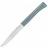 steakovy nuz opinel bon apetit s polymerovou rukojeti 11 cm sage salvejovy 002195