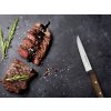 sada steakovych nozu na steak 4 ks urban farmer wusthof solingen 9401