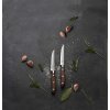 luxusni sada nozu na steak 12 cm 2 ks kusy grand maitre victorinox kvalitno noze drevena rukojet 2