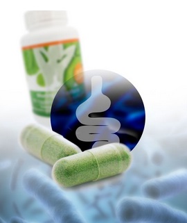 Můj tip na užívání Moringa plus Bacillus subt. DSM 21097 /pro kočky a psy
