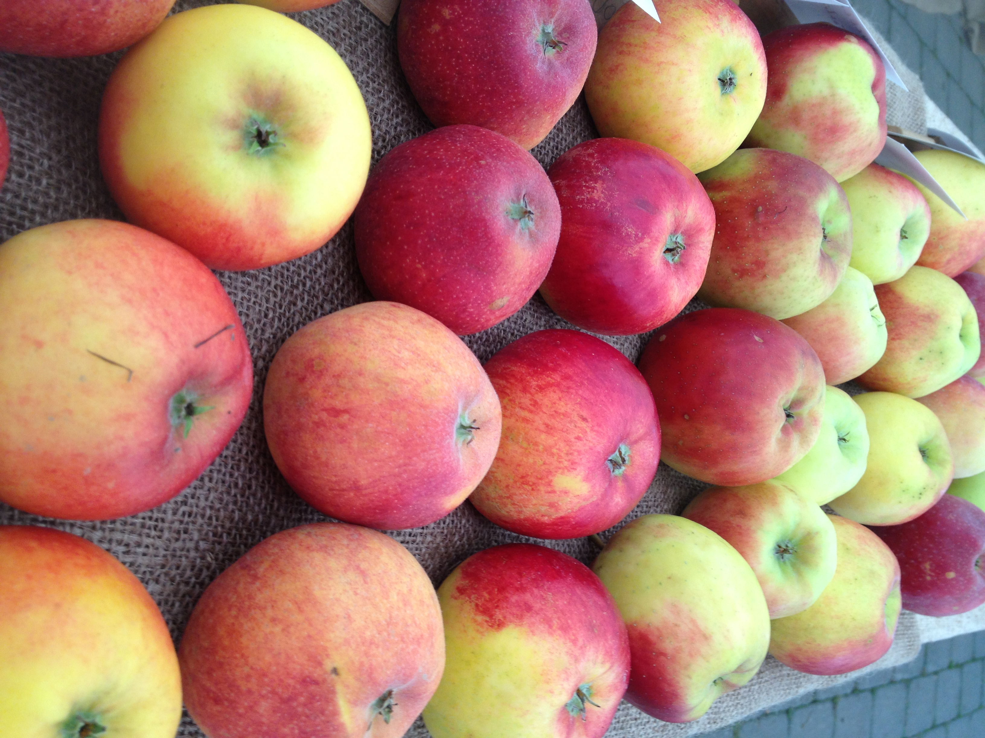 Jsme tím, co jíme, aneb myslíme střevy!