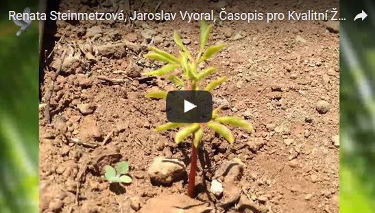 Renata Steinmetzová, časopis pro Kvalitní ŽIVOT a Moringa Oleifera z Tenerife