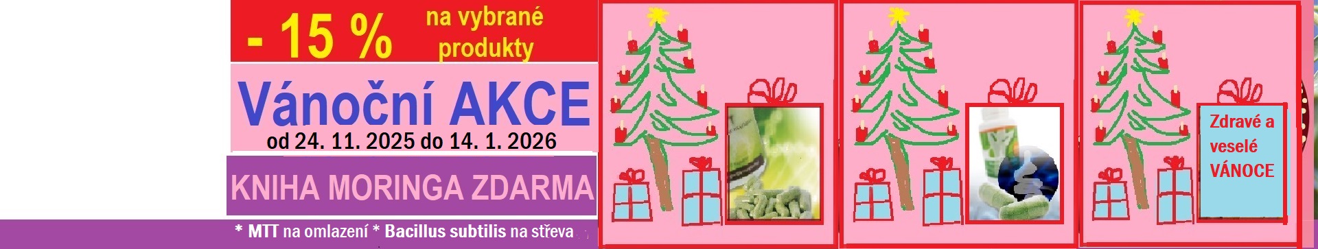 Vánoční akce 2025