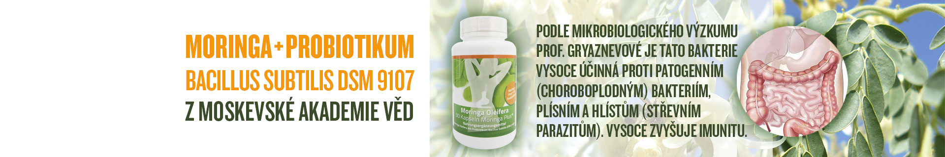 Moringa plus probiotikum
