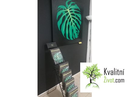 Katalogy1