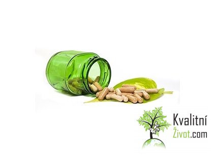 BIO Moringa z TENERIFE - PRÁŠEK ZE SEMEN V KAPSLÍCH 100 ks