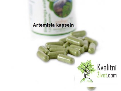 2023 Artemisia kapseln