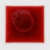 REDnew