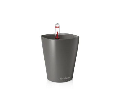 Minideltini antracit