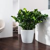 CLASSICO Color bila inspirace 8