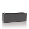 Cube Glossy Triple cedicova