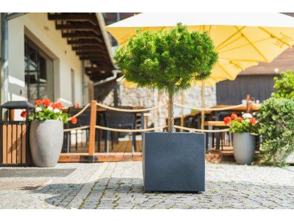 PARMA antracit1