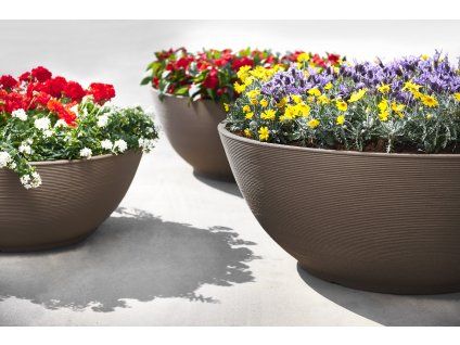 37476080 SAHARA 306 dot sand