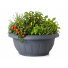 ChatGPT Image 29. 4. 2026 11 43 41