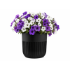 ChatGPT Image 29. 4. 2026 14 55 57