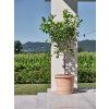 18219058 POGGIO 500 GALESTRO AMB (2)