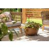 Misa Roma Eco naturalne drewno 2