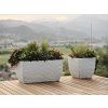 11779080 PETRAM + lithos 316 Stone white