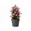 ChatGPT Image 29. 4. 2026 12 50 30