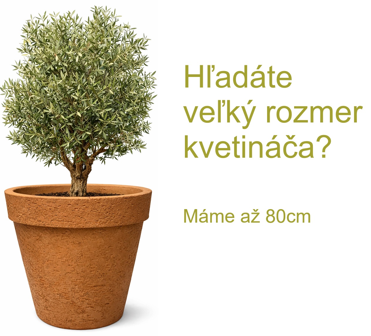 Veľké rozmery kvetináčov