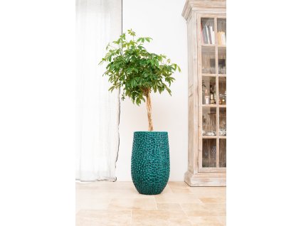 250414 provencelia 208