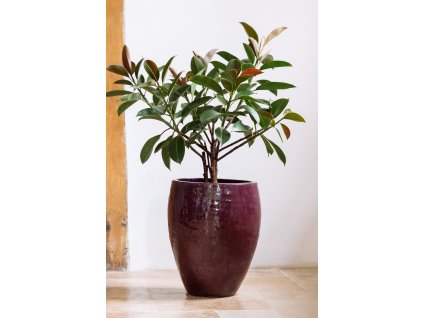 Keramicky kvetinac poseidon fialova mrazuvzodrny1