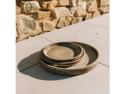 SaucerPhoto TigerWhite