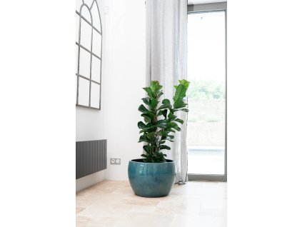 Keramicky kvetinac romulus azurove modra3