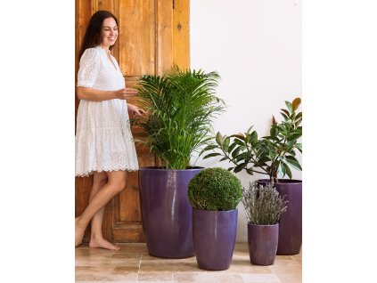 Provencelia Pots 164 b233e624 1ab4 408d b307 86c9df9d62da