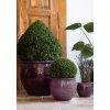 Provencelia Pots 84