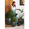 Provencelia Pots 103