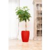 Keramicky kvetinac versaiie cerveny1