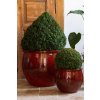 Provencelia Pots 95