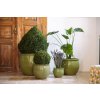 Provencelia Pots 82