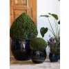 Provencelia Pots 92